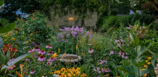 Designing a Backyard Garden to Attract Pollinators and Improve Plant Health