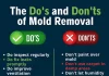 Preventing Mold Growth in Bathrooms by Repairing Common Ventilation Issues