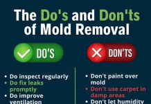 Preventing Mold Growth in Bathrooms by Repairing Common Ventilation Issues
