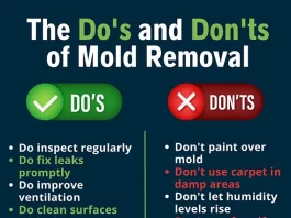 Preventing Mold Growth in Bathrooms by Repairing Common Ventilation Issues