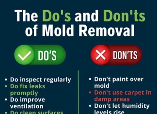 Preventing Mold Growth in Bathrooms by Repairing Common Ventilation Issues