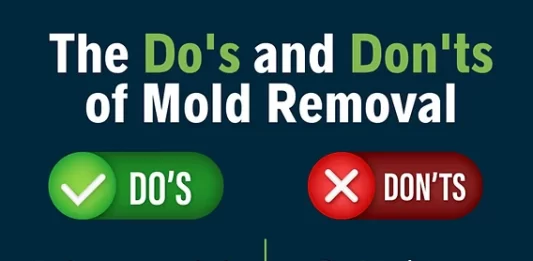 Preventing Mold Growth in Bathrooms by Repairing Common Ventilation Issues