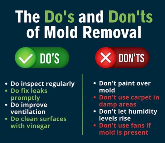Preventing Mold Growth in Bathrooms by Repairing Common Ventilation Issues