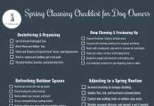 Seasonal Deep Cleaning Checklist for Pet Owners to Reduce Allergens