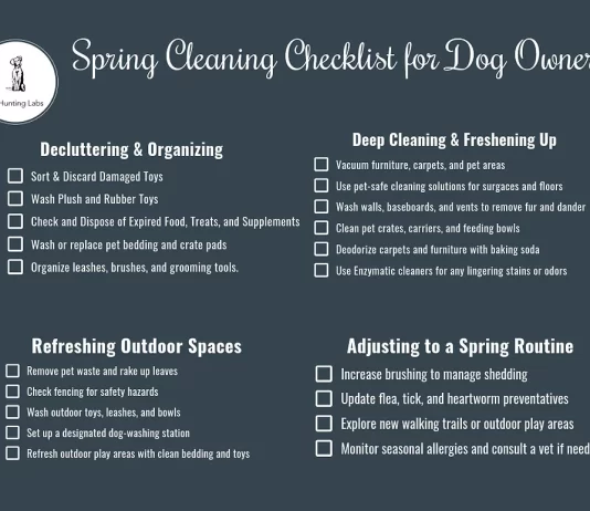 Seasonal Deep Cleaning Checklist for Pet Owners to Reduce Allergens