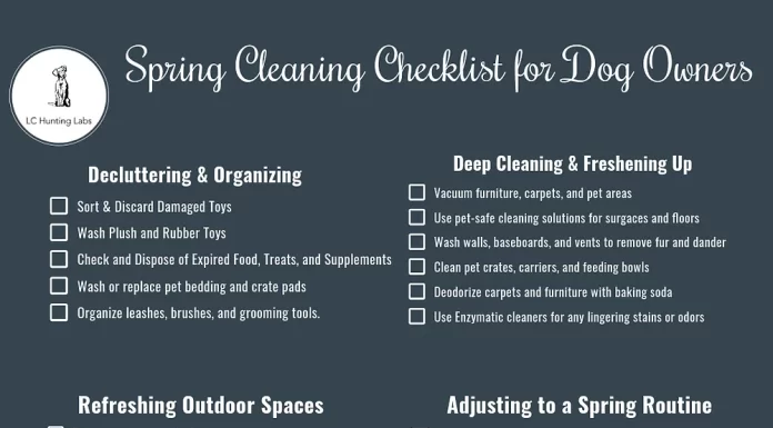 Seasonal Deep Cleaning Checklist for Pet Owners to Reduce Allergens