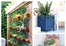 Easy and Cheap DIY Garden Planters Using Household Items for Beginners
