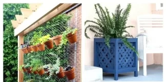 Easy and Cheap DIY Garden Planters Using Household Items for Beginners