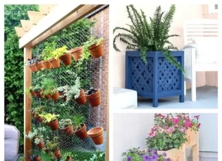 Easy and Cheap DIY Garden Planters Using Household Items for Beginners