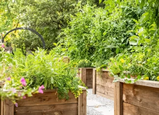 Practical Tips for Managing Backyard Pest Problems Without Chemicals