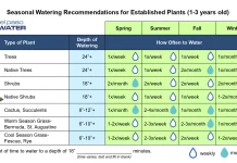 Seasonal Watering Schedules to Maximize Growth in Your Vegetable Garden