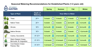 Seasonal Watering Schedules to Maximize Growth in Your Vegetable Garden