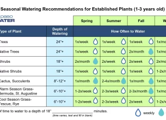 Seasonal Watering Schedules to Maximize Growth in Your Vegetable Garden