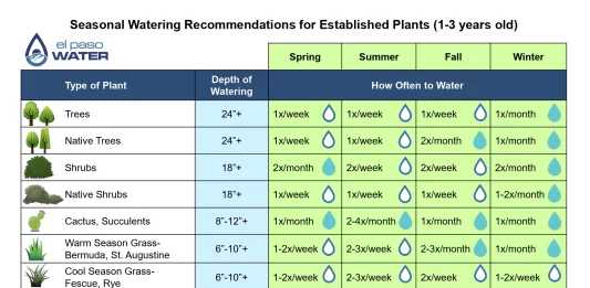 Seasonal Watering Schedules to Maximize Growth in Your Vegetable Garden