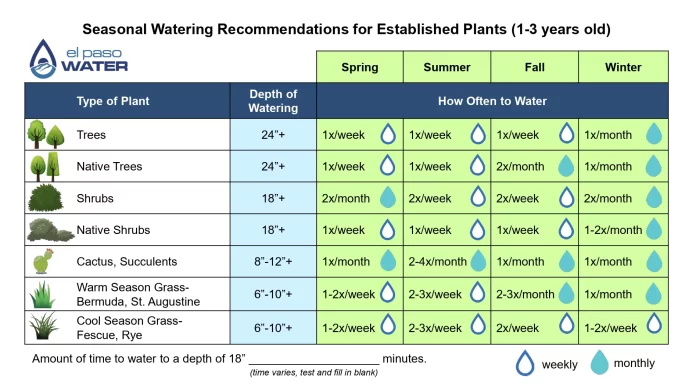 Seasonal Watering Schedules to Maximize Growth in Your Vegetable Garden