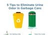 Best Natural Solutions for Eliminating Lingering Odors in Kitchen Trash Cans