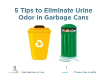 Best Natural Solutions for Eliminating Lingering Odors in Kitchen Trash Cans