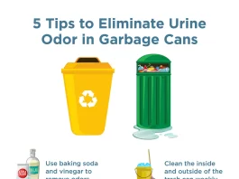 Best Natural Solutions for Eliminating Lingering Odors in Kitchen Trash Cans