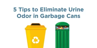 Best Natural Solutions for Eliminating Lingering Odors in Kitchen Trash Cans