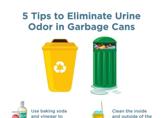 Best Natural Solutions for Eliminating Lingering Odors in Kitchen Trash Cans