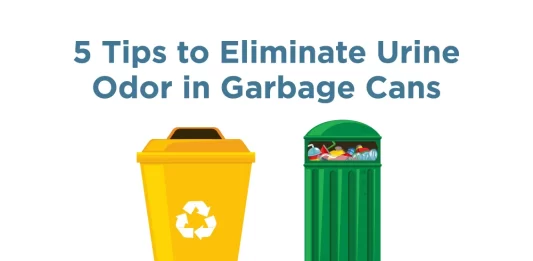 Best Natural Solutions for Eliminating Lingering Odors in Kitchen Trash Cans