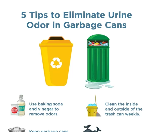 Best Natural Solutions for Eliminating Lingering Odors in Kitchen Trash Cans