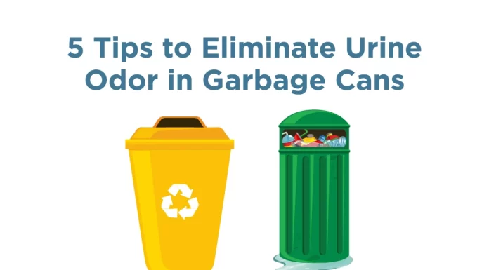 Best Natural Solutions for Eliminating Lingering Odors in Kitchen Trash Cans