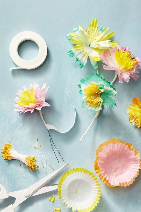 Yellow, Flower, Leaf, Plant, Teacup, Tableware, Still life photography, Saucer, Petal, Still life, 