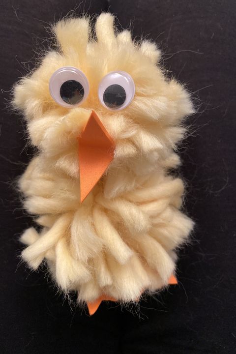 Stuffed toy, Fur, Beak, Toy, Bird, Plush, Bird of prey, Feather, Owl, 